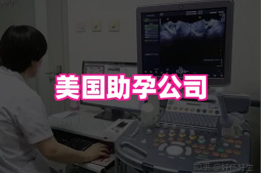 梦美助孕网 1