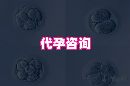 梦美助孕网 4